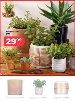 PEP Home : When It's Giving Winter (23 April - 21 May 2025), page 2