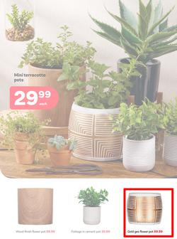 PEP Home : When It's Giving Winter (23 April - 21 May 2025), page 2