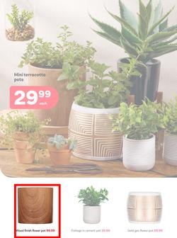 PEP Home : When It's Giving Winter (23 April - 21 May 2025), page 2