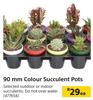 90mm Colour Succulent Pots-Each