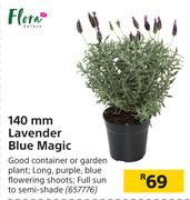 Flora 140mm Lavender Blue Magic