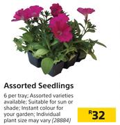Assorted Seedlings