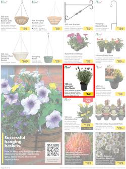 Builders : Here's To Digging And Dreaming (26 July - 05 September 2022), page 4