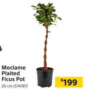 Moclame Plaited Ficus pot 20 cm