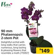 Flora 90 mm Phalaenopsis 2-Stem Pot