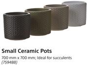 Small Pot Stand 105 mm x 950 mm- Each