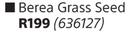 Garden Master  Berea Grass Seeds- Each