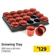 Growing Tray 200mm x 60mm