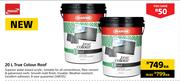 Plascon 20L True Colour Roof-Each