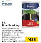 Pro Long 5L Road Marking (White)