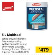 Plascon 5L Multiseal