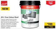 Plascon 20L True Colour Roof