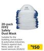 20-Pack FEP2 Safety Dust Mask