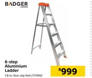 Badger 6-Step Aluminium Ladder