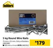 Builders 5Kg Round Wire Nails 100mm x 4mm