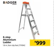 Badger 6 Step Aluminium Ladder