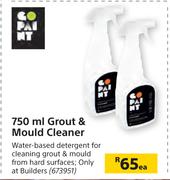 Go Paint 750ml Grout & Mould Cleaner-Each