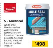 Plascon 5Ltr Multiseal