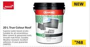 Plascon 20Ltr True Colour Roof