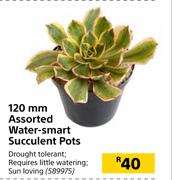 120mm Assorted Water Smart Succulent Pots