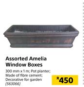 Assorted Amelia Windows Boxes 300mm x 1m