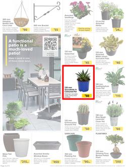 Builders : Here's To Seeding, Feeding And Weeding (27 July - 6 September 2021), page 4