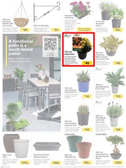Builders : Here's To Seeding, Feeding And Weeding (27 July - 6 September 2021), page 4