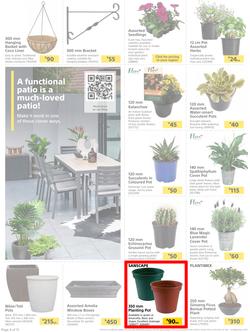 Builders : Here's To Seeding, Feeding And Weeding (27 July - 6 September 2021), page 4