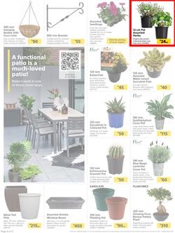 Builders : Here's To Seeding, Feeding And Weeding (27 July - 6 September 2021), page 4