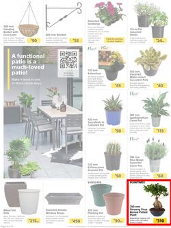 Builders : Here's To Seeding, Feeding And Weeding (27 July - 6 September 2021), page 4