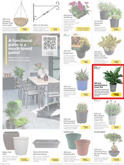 Builders : Here's To Seeding, Feeding And Weeding (27 July - 6 September 2021), page 4
