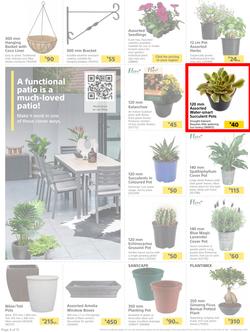 Builders : Here's To Seeding, Feeding And Weeding (27 July - 6 September 2021), page 4