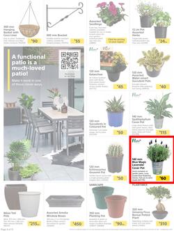 Builders : Here's To Seeding, Feeding And Weeding (27 July - 6 September 2021), page 4