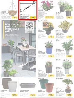 Builders : Here's To Seeding, Feeding And Weeding (27 July - 6 September 2021), page 4