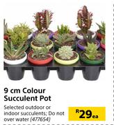 9cm Colour Succulent Pot-Each
