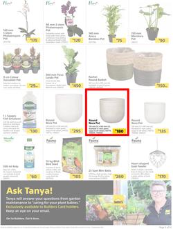 Builders : Here's To Seeding, Feeding And Weeding (27 July - 6 September 2021), page 5