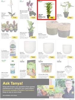 Builders : Here's To Seeding, Feeding And Weeding (27 July - 6 September 2021), page 5
