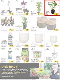 Builders : Here's To Seeding, Feeding And Weeding (27 July - 6 September 2021), page 5