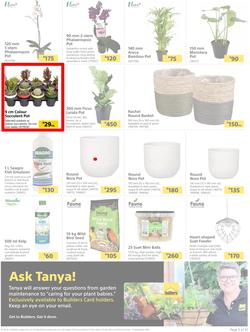 Builders : Here's To Seeding, Feeding And Weeding (27 July - 6 September 2021), page 5