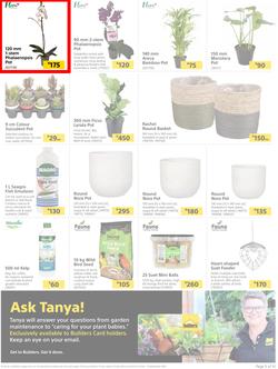 Builders : Here's To Seeding, Feeding And Weeding (27 July - 6 September 2021), page 5