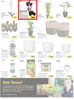 Builders : Here's To Seeding, Feeding And Weeding (27 July - 6 September 2021), page 5