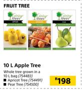 Fruit Tree 10L Apricot Tree