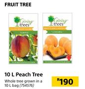 Fruit Tree 10L Peach Tree