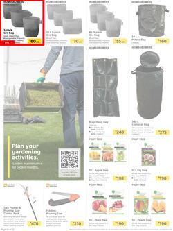 Builders : Here's To Seeding, Feeding And Weeding (27 July - 6 September 2021), page 10