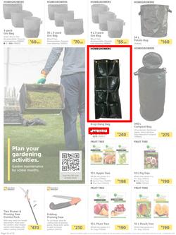 Builders : Here's To Seeding, Feeding And Weeding (27 July - 6 September 2021), page 10
