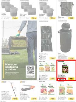 Builders : Here's To Seeding, Feeding And Weeding (27 July - 6 September 2021), page 10