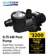 Blue Chem 0.75 KW Pool Pump