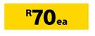 CCA H2 Treated Timber Sap 38mm x 38mm x 6.0m- Each