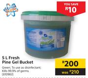 Fresh Pine Gel Bucket-5Ltr