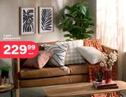 2 Pack Gallery Artwork-Each